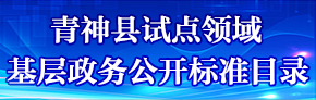 青神縣試點領域基層政務公開標準目錄